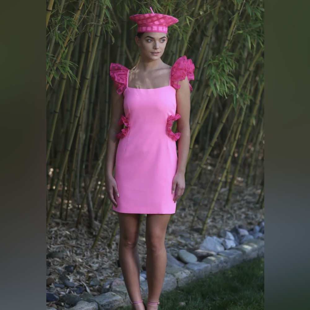 Neubyrne Miranda Pink Ruffle Cutout Mini Dress NWT XS Barbiecore Party